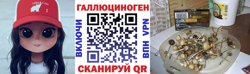 Псилоцибиновые грибы MAGIC MUSHROOMS  Невельск 